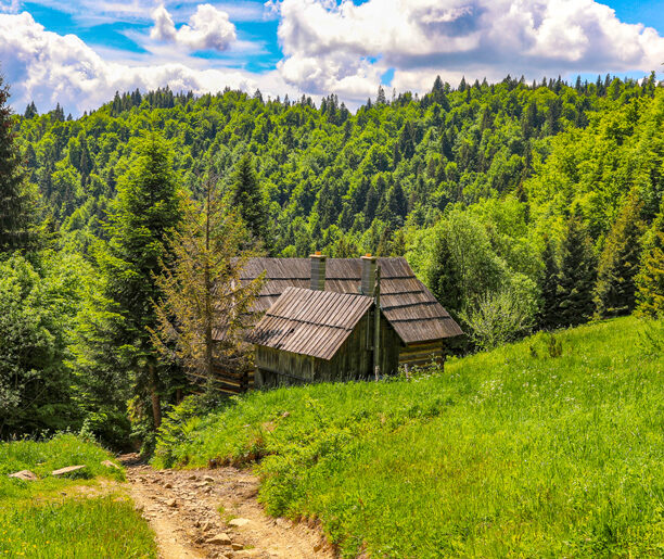 Курнитова Колиба