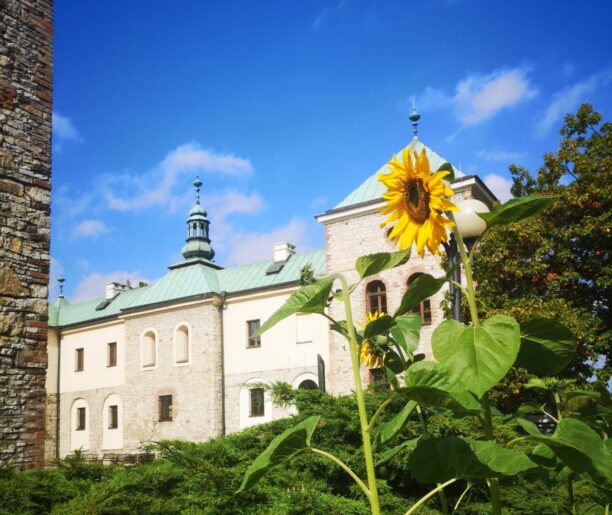 Park i Zamek Sielecki