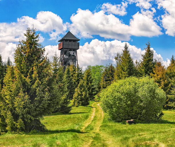 Вежа оглядова