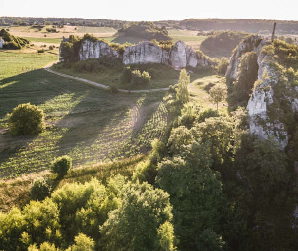 Rowerem po dnie morza