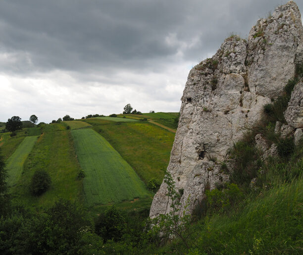 Na skrzydłach wiatru