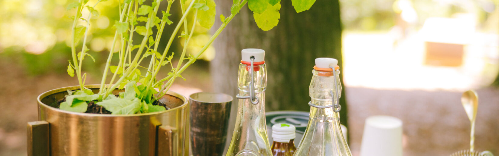 szklane butelki z alkoholem