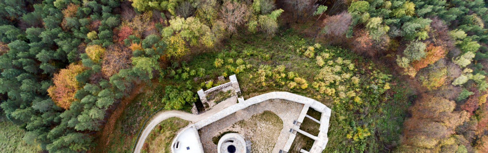 ruiny zamku w Rytrze