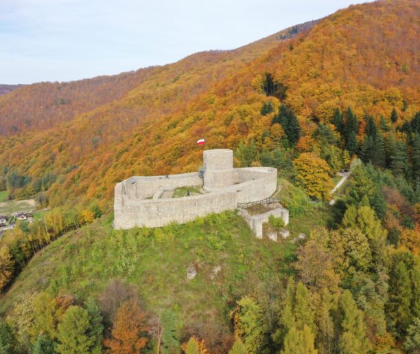 ruiny zamku w Rytrze