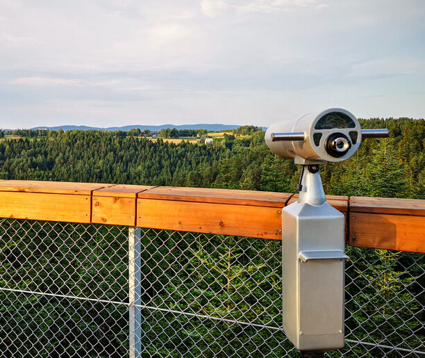 ścieżka w koronach drzew