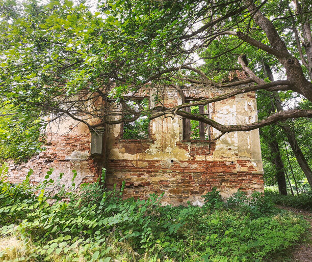 Ruiny dworskie, Siedliska-Bogusz