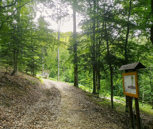 Ścieżka więzi i relacji w Jamnej