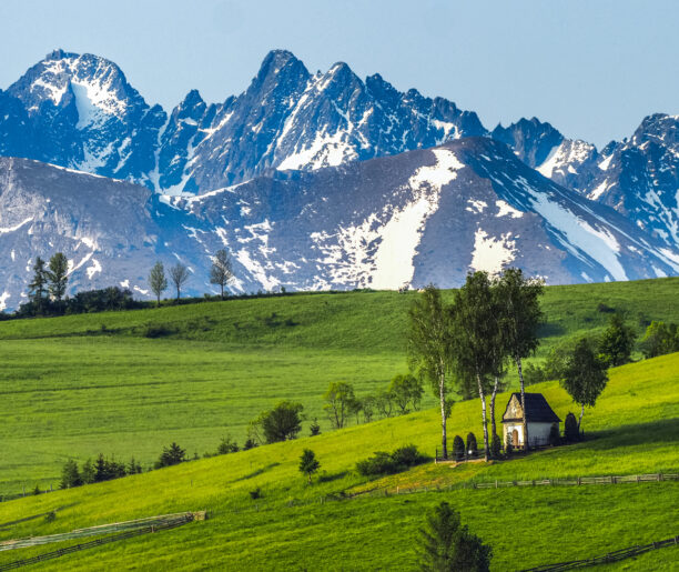 O czym szumią spiskie wierzby