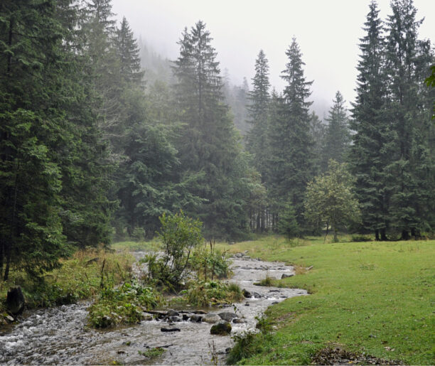 Hrabia spod Giewontu. Władysław Zamoyski w Zakopanem