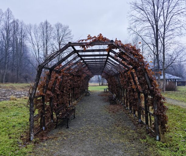 Drewniana pergola porośnięta winoroślą o czerwonych liściach, prowadząca przez park, z widocznymi ławkami po bokach i bezlistnymi drzewami w tle w pochmurny dzień.