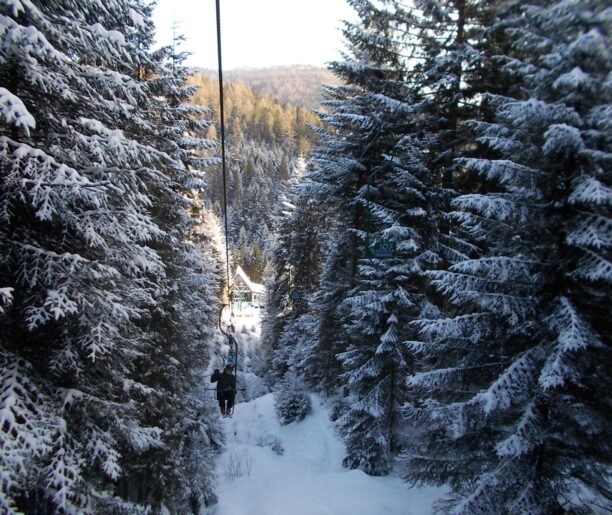 Widok z wagonika kolejki linowej w zaśnieżonym lesie, z domem w oddali na polanie.